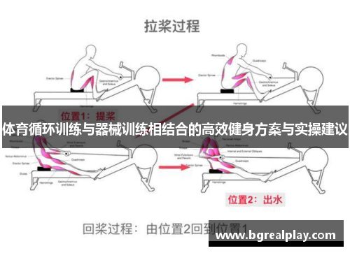 体育循环训练与器械训练相结合的高效健身方案与实操建议